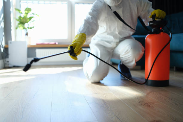 Trusted Sewage Cleanup service in Princeton, IL - Four Month Blood Cleanse